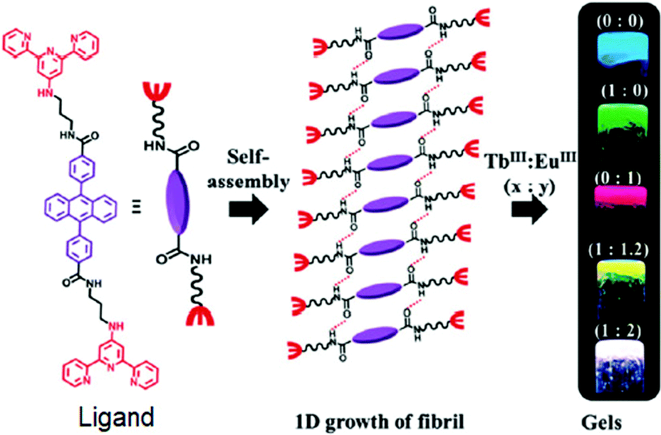 Stimuli Responsive Dynamic Transformations In Supramolecular Gels ...