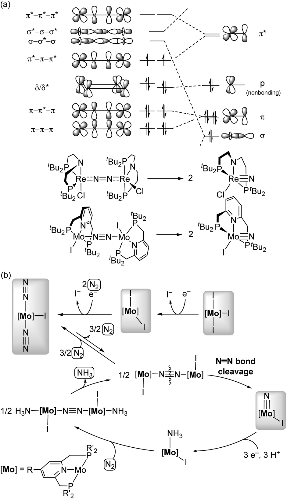 Comprehensive Insights Into Synthetic Nitrogen Fixation Assisted By Molecular Catalysts Under Ambient Or Mild Conditions Chemical Society Reviews Rsc Publishing