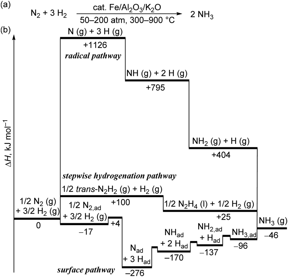 Comprehensive Insights Into Synthetic Nitrogen Fixation Assisted By Molecular Catalysts Under Ambient Or Mild Conditions Chemical Society Reviews Rsc Publishing Comprehensive Insights Into Synthetic Nitrogen Fixation Assisted By Molecular Catalysts Under Ambient Or Mild Conditions Chemical Society Reviews Rsc Publishing