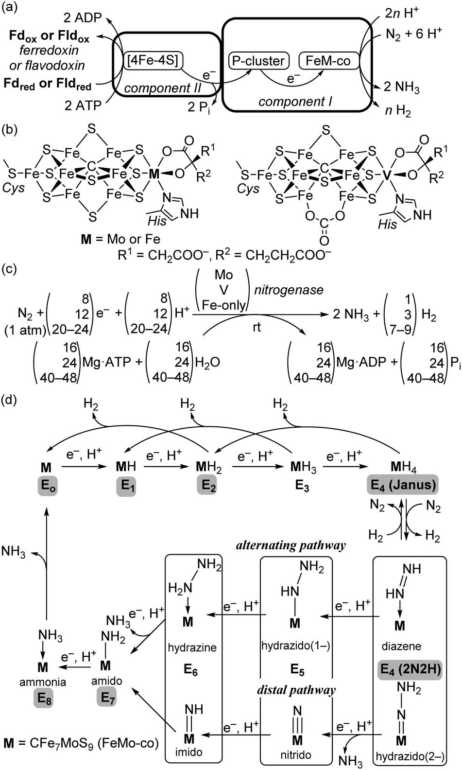 Comprehensive Insights Into Synthetic Nitrogen Fixation Assisted By Molecular Catalysts Under Ambient Or Mild Conditions Chemical Society Reviews Rsc Publishing