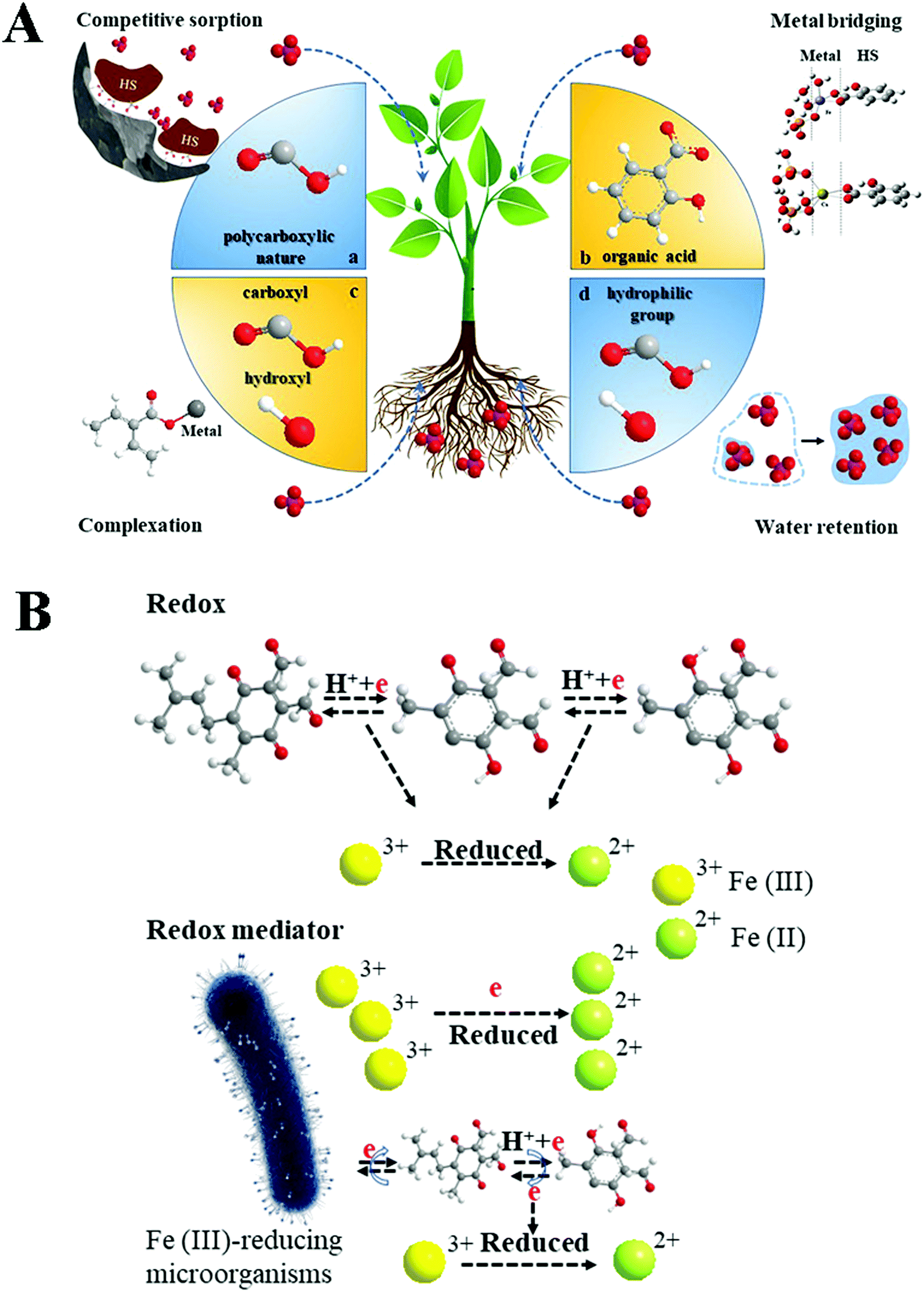 Beyond Chemical Fertilizers: The Humic Layer's Natural Power