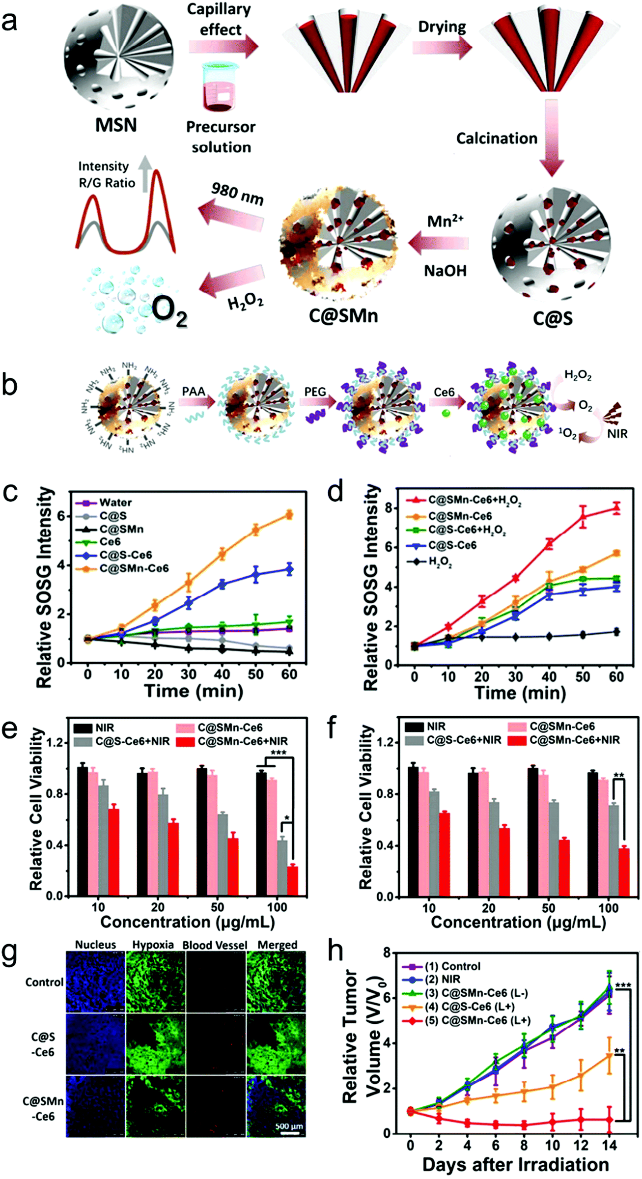 Overcoming Barriers In Photodynamic Therapy Harnessing Nano Formulation Strategies Chemical Society Reviews Rsc Publishing