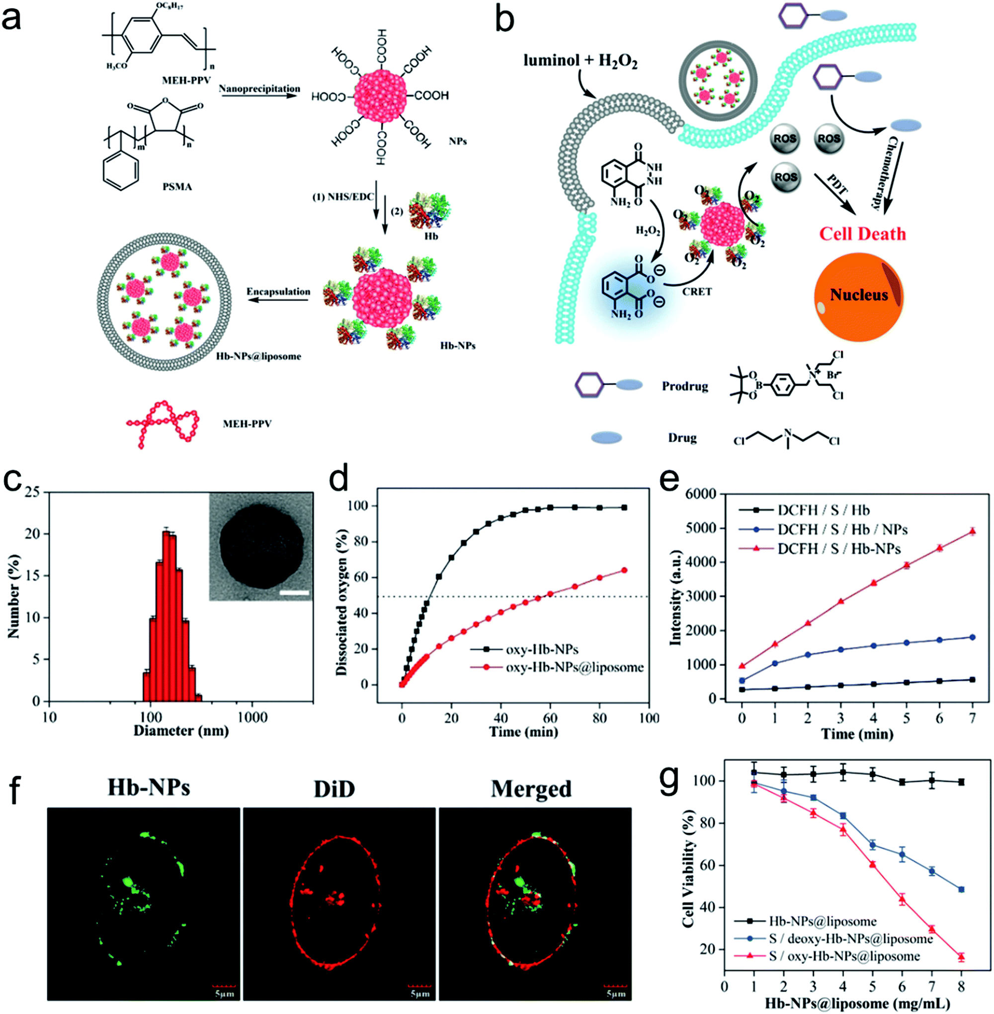 Overcoming Barriers In Photodynamic Therapy Harnessing Nano Formulation Strategies Chemical Society Reviews Rsc Publishing Overcoming Barriers In Photodynamic Therapy Harnessing Nano Formulation Strategies Chemical Society Reviews Rsc Publishing