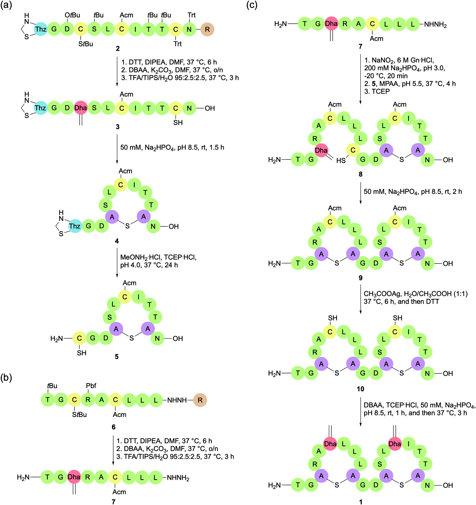 The Role Of Chemical Synthesis In Developing Ripp Antibiotics Chemical Society Reviews Rsc Publishing