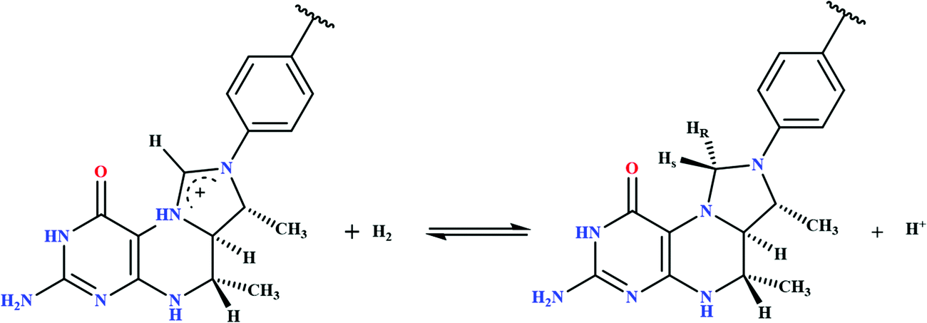 Biochemical And Artificial Pathways For The Reduction Of Carbon Dioxide Nitrite And The Competing Proton Reduction Effect Of 2nd Sphere Interactions In Catalysis Chemical Society Reviews Rsc Publishing