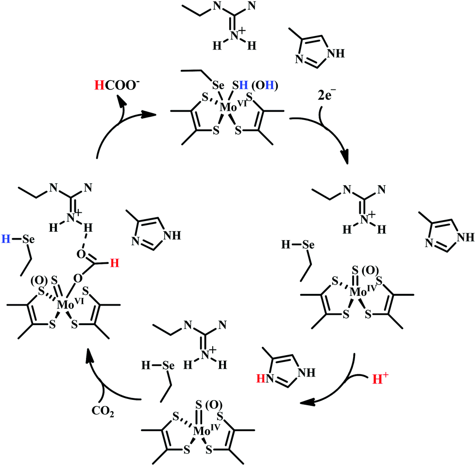 Biochemical And Artificial Pathways For The Reduction Of Carbon Dioxide Nitrite And The Competing Proton Reduction Effect Of 2nd Sphere Interactions In Catalysis Chemical Society Reviews Rsc Publishing