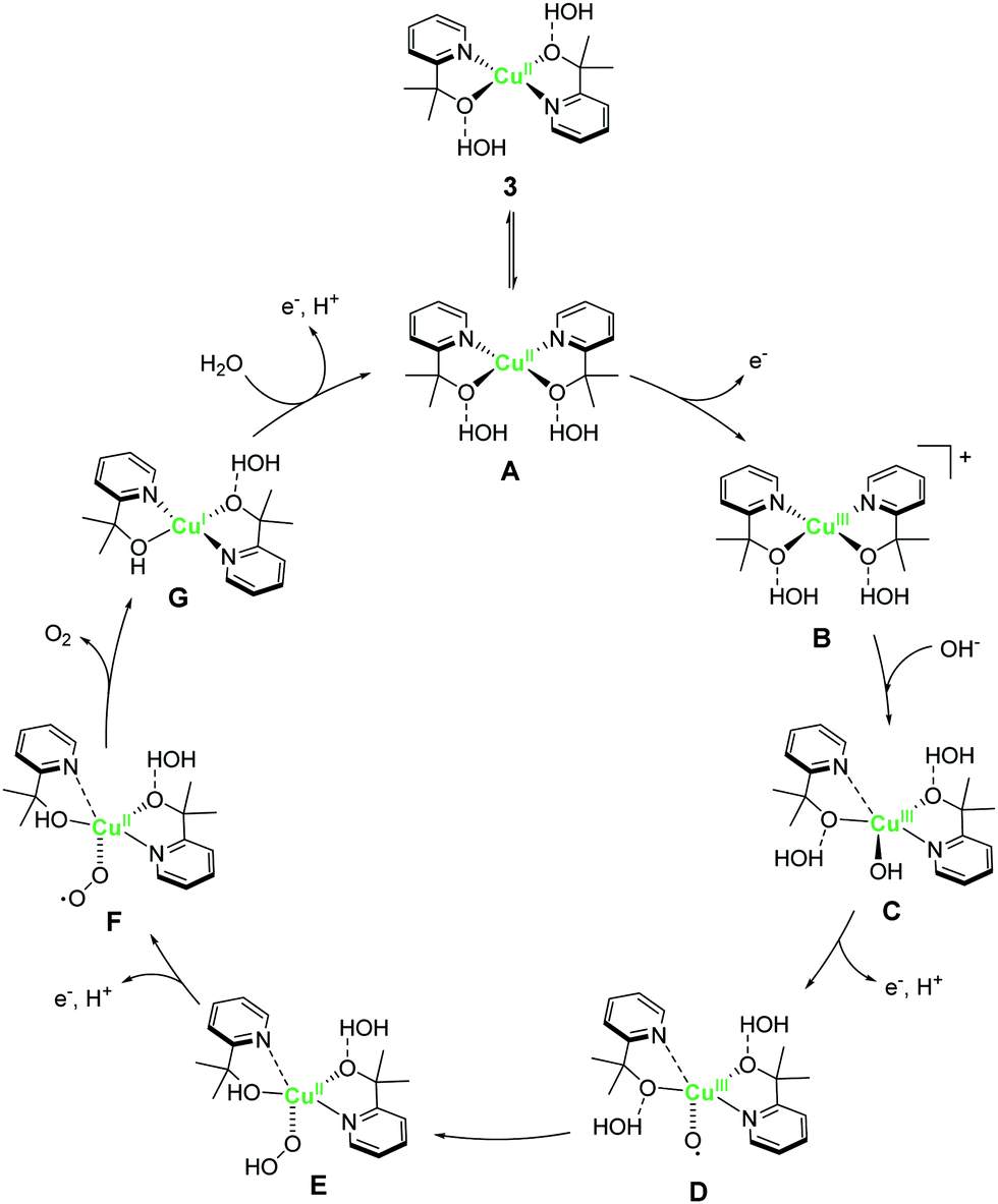 Design Of Molecular Water Oxidation Catalysts With Earth Abundant Metal Ions Chemical Society Reviews Rsc Publishing