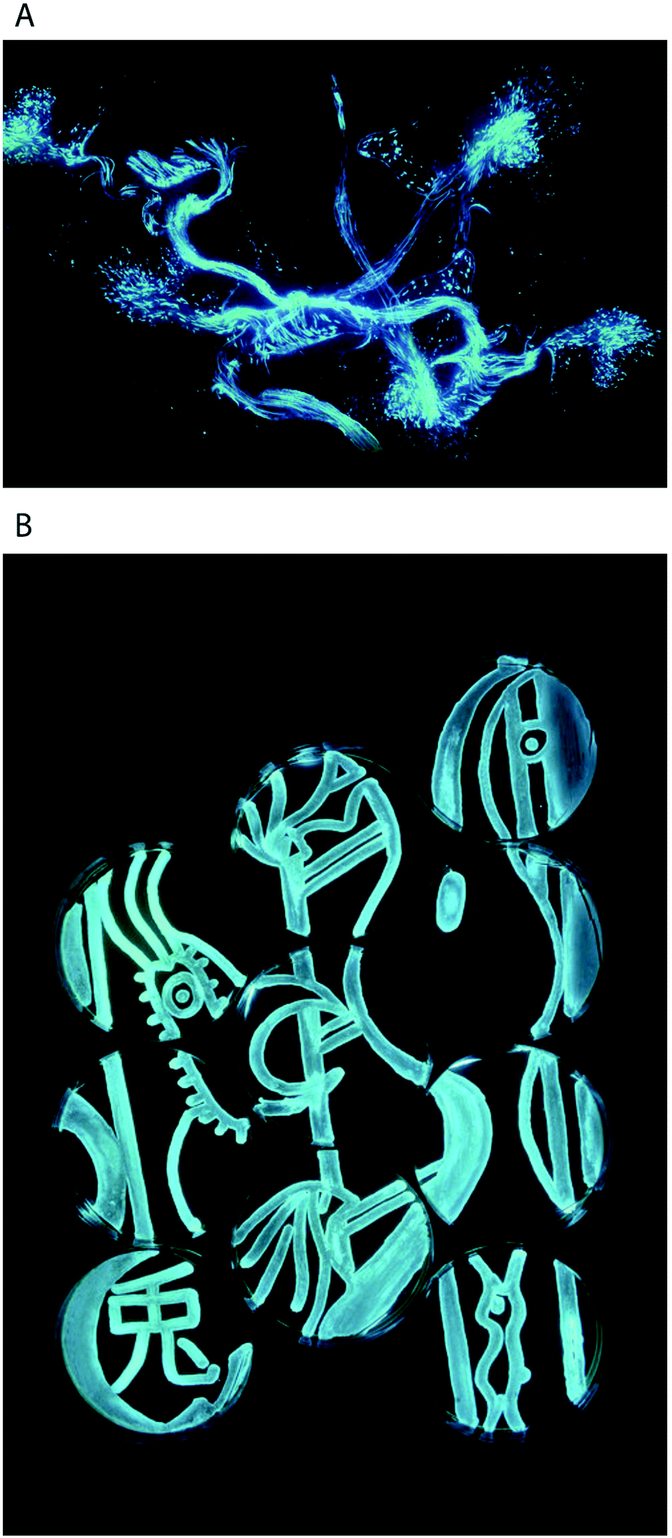 Applications Of Bioluminescence In Biotechnology And Beyond Chemical Society Reviews Rsc Publishing