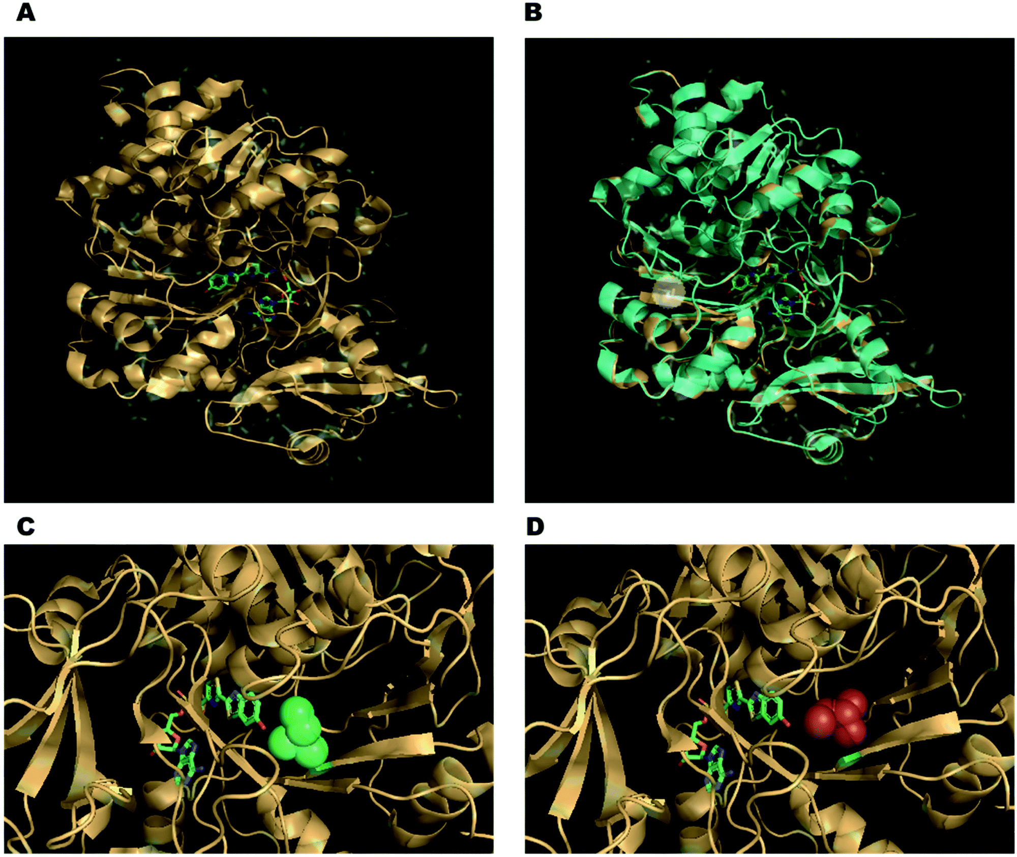 Applications Of Bioluminescence In Biotechnology And Beyond Chemical Society Reviews Rsc Publishing