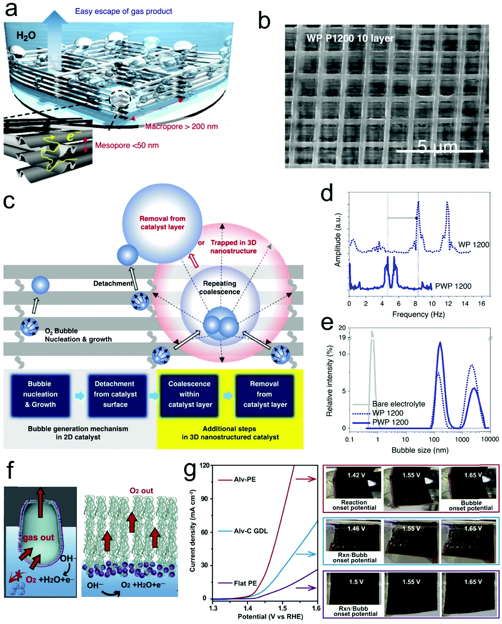 Wetting Regulated Gas Involving Photo Electrocatalysis Biomimetics In Energy Conversion Chemical Society Reviews Rsc Publishing
