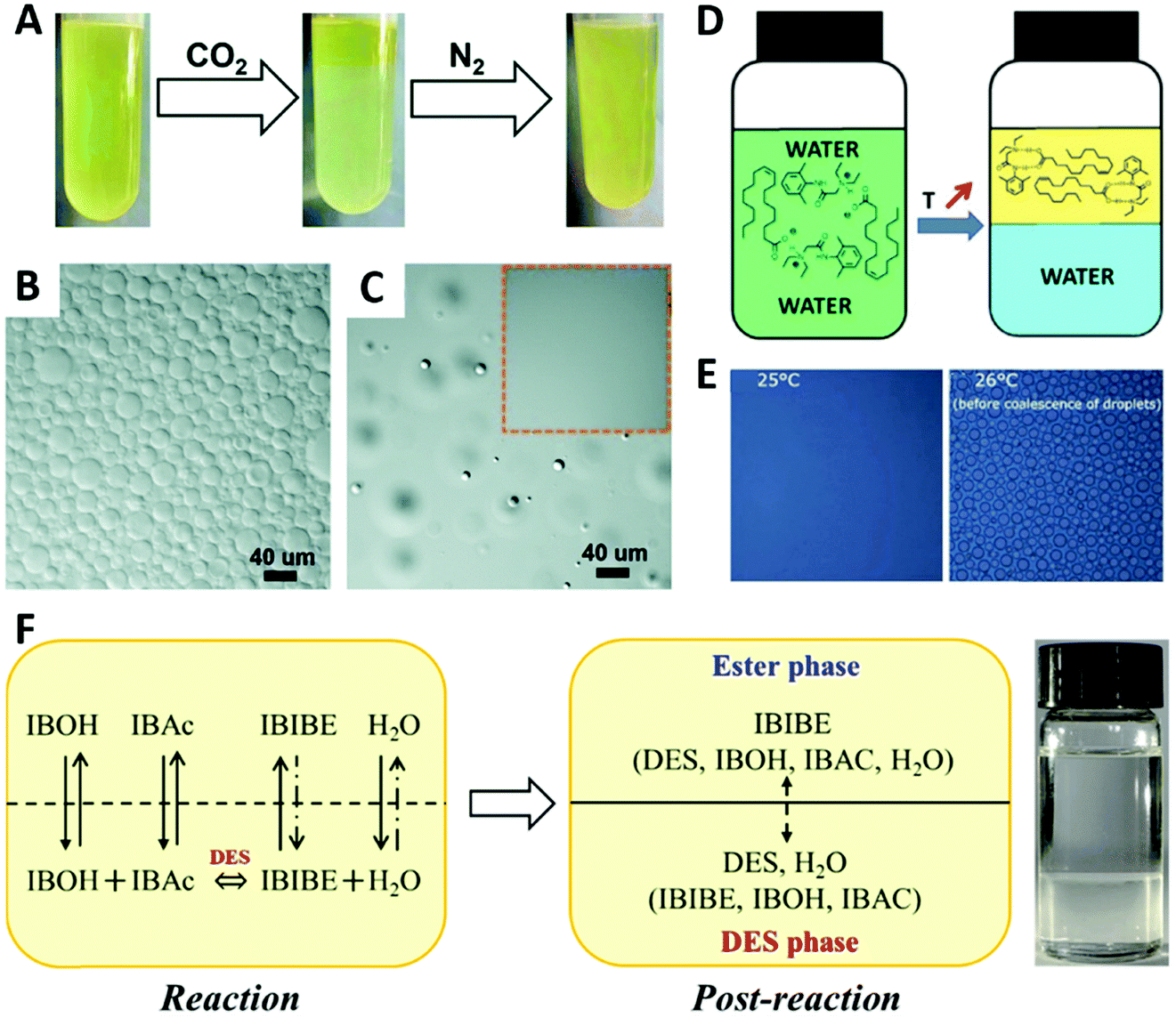 Eutectics Formation Properties And Applications Chemical Society Reviews Rsc Publishing