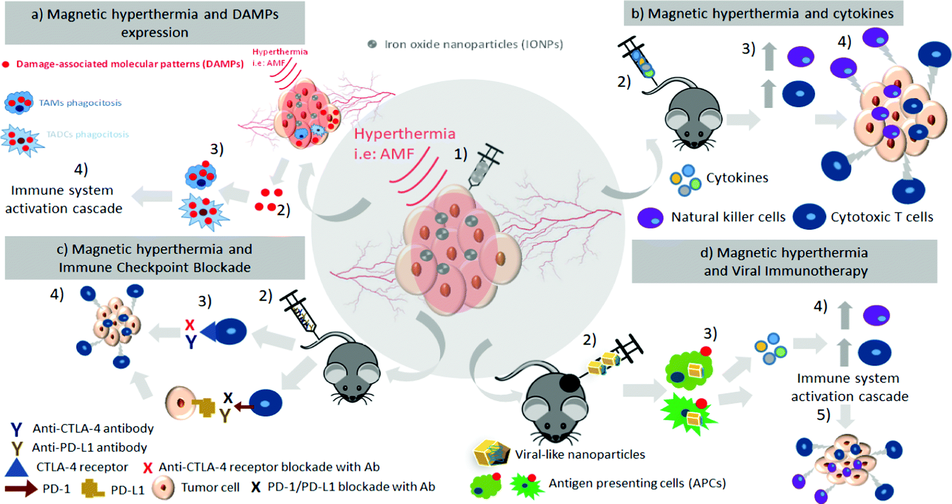 Magnetic Nanoparticles And Clusters For Magnetic Hyperthermia Optimizing Their Heat Performance And Developing Combinatorial Therapies To Tackle Cancer Chemical Society Reviews Rsc Publishing