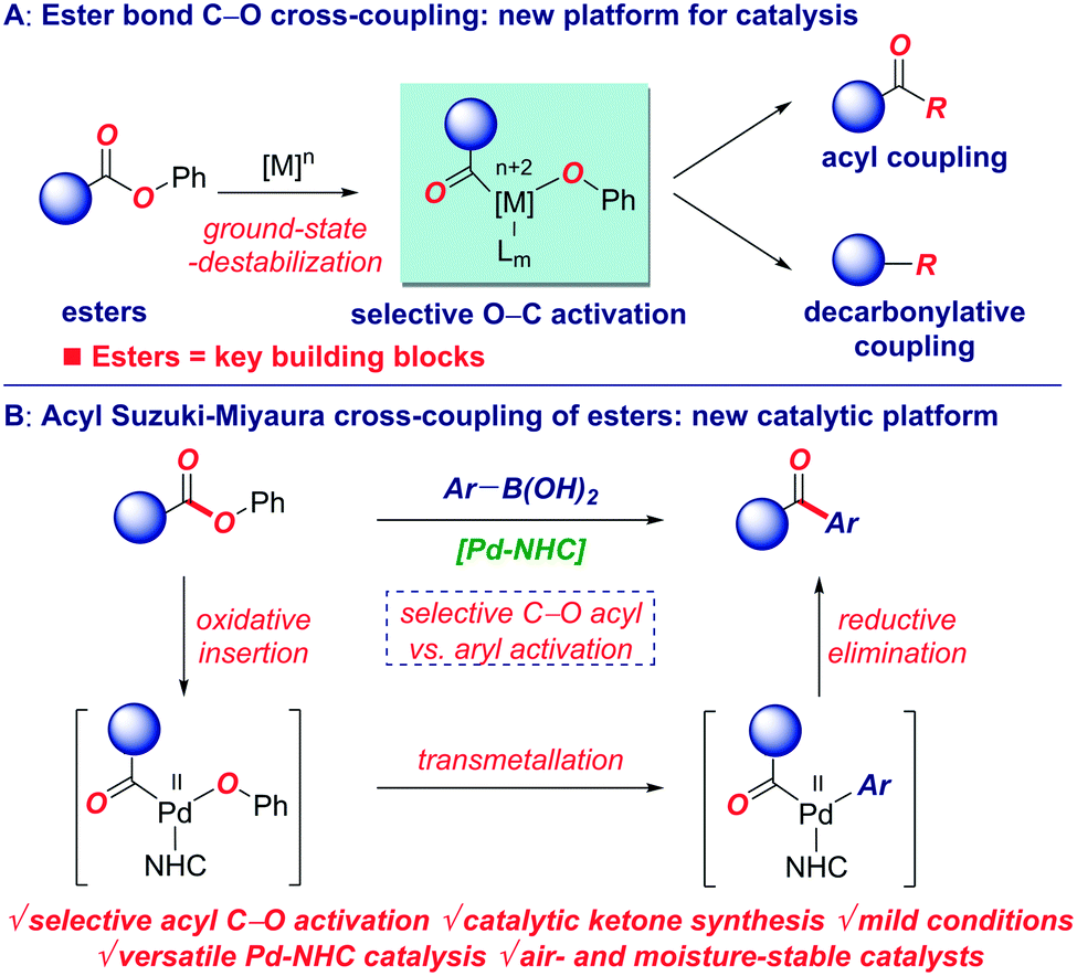 Suzuki Miyaura Cross Coupling Of Esters By Selective O C O Cleavage Mediated By Air And Moisture Stable Pd Nhc M Cl Cl 2 Precatalysts Catalyst Evaluation And Mechanism Catalysis Science Technology Rsc Publishing