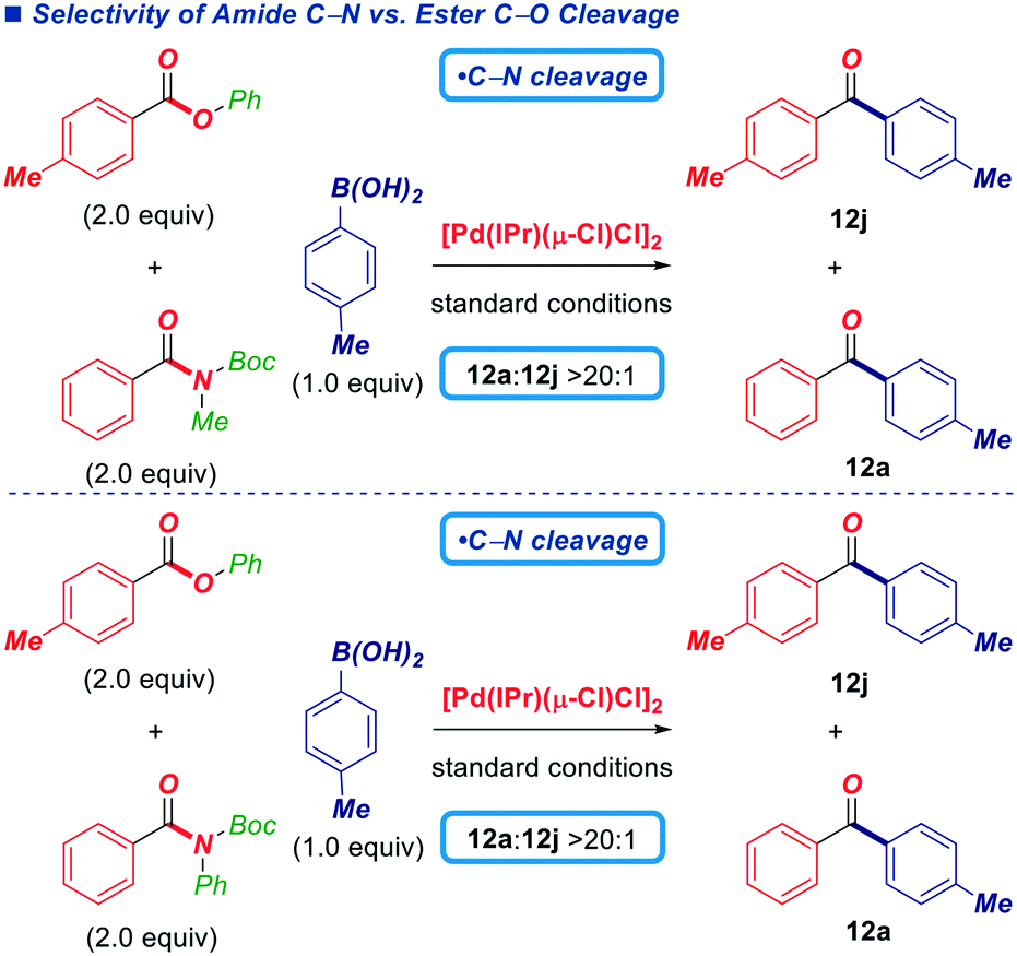 Suzuki Miyaura Cross Coupling Of Esters By Selective O C O Cleavage Mediated By Air And Moisture Stable Pd Nhc M Cl Cl 2 Precatalysts Catalyst Evaluation And Mechanism Catalysis Science Technology Rsc Publishing