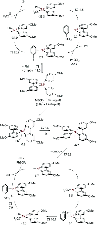 dmg reaction with nickel