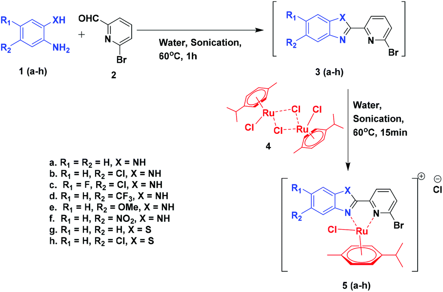 Dna Targeting Half Sandwich Ru Ii P Cymene N N Complexes As Cancer Cell Imaging And Terminating Agents Influence Of Regioisomers In Cytotoxicity Dalton Transactions Rsc Publishing