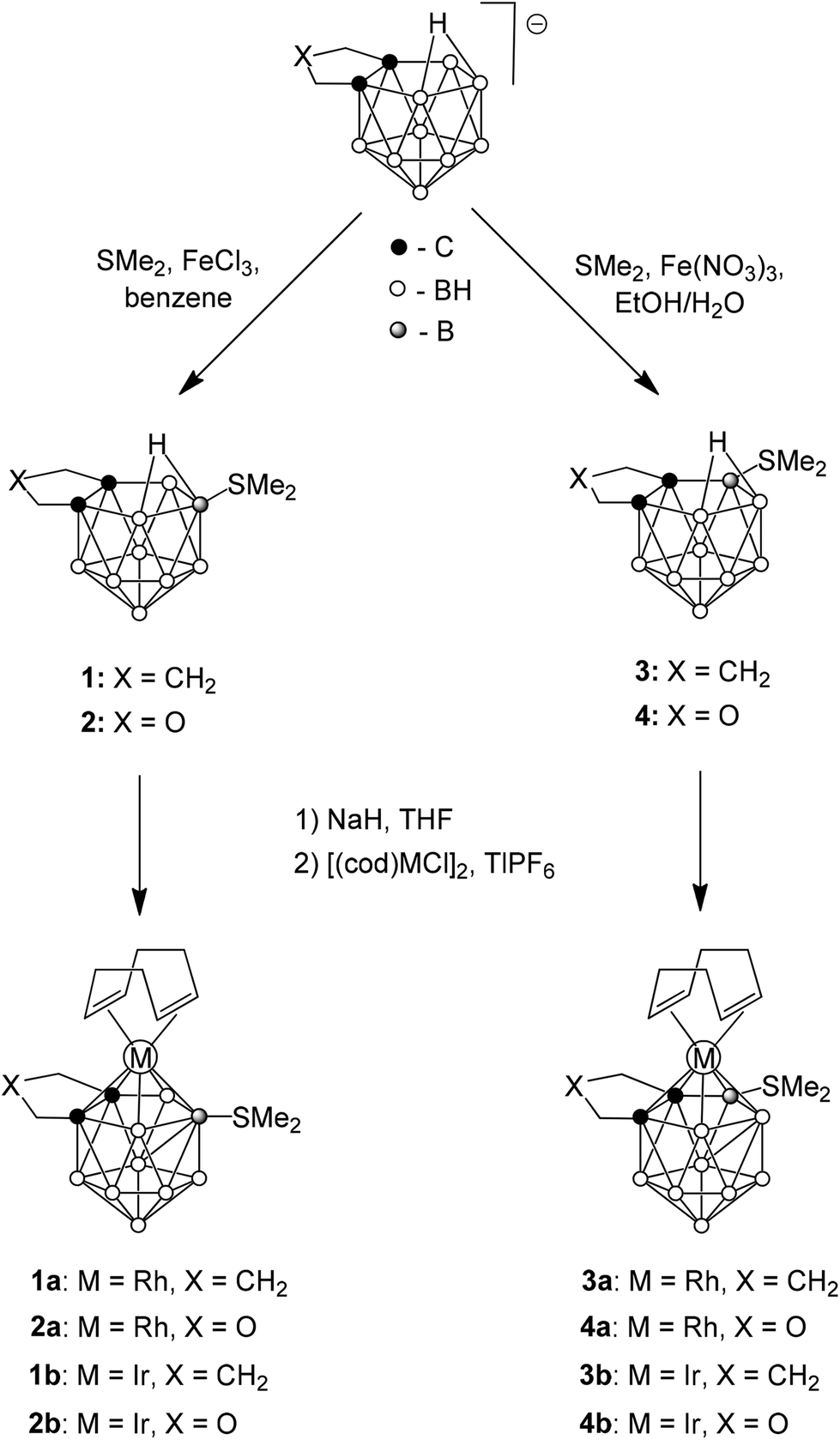 Pathway Bifurcations In The Cage Rearrangement Of Metallacarboranes Experimental And Computational Evidence Dalton Transactions Rsc Publishing