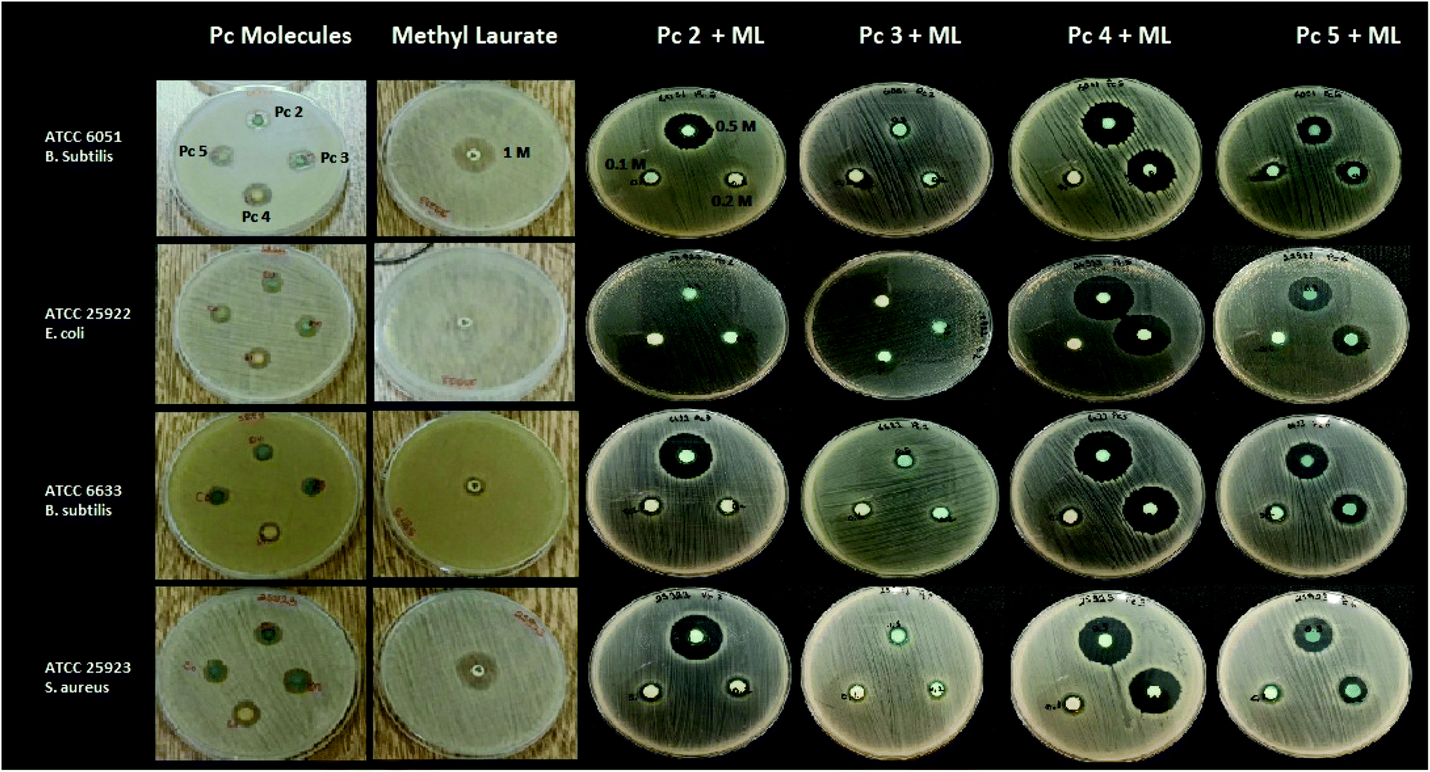 Investigation Of The Biological And Photophysicochemical Properties Of New Non Peripheral Fluorinated Phthalocyanines Dalton Transactions Rsc Publishing