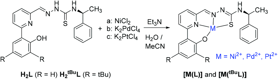 Ni Pd And Pt Complexes Of A Tetradentate Dianionic Thiosemicarbazone Based O N N S Ligand Dalton Transactions Rsc Publishing