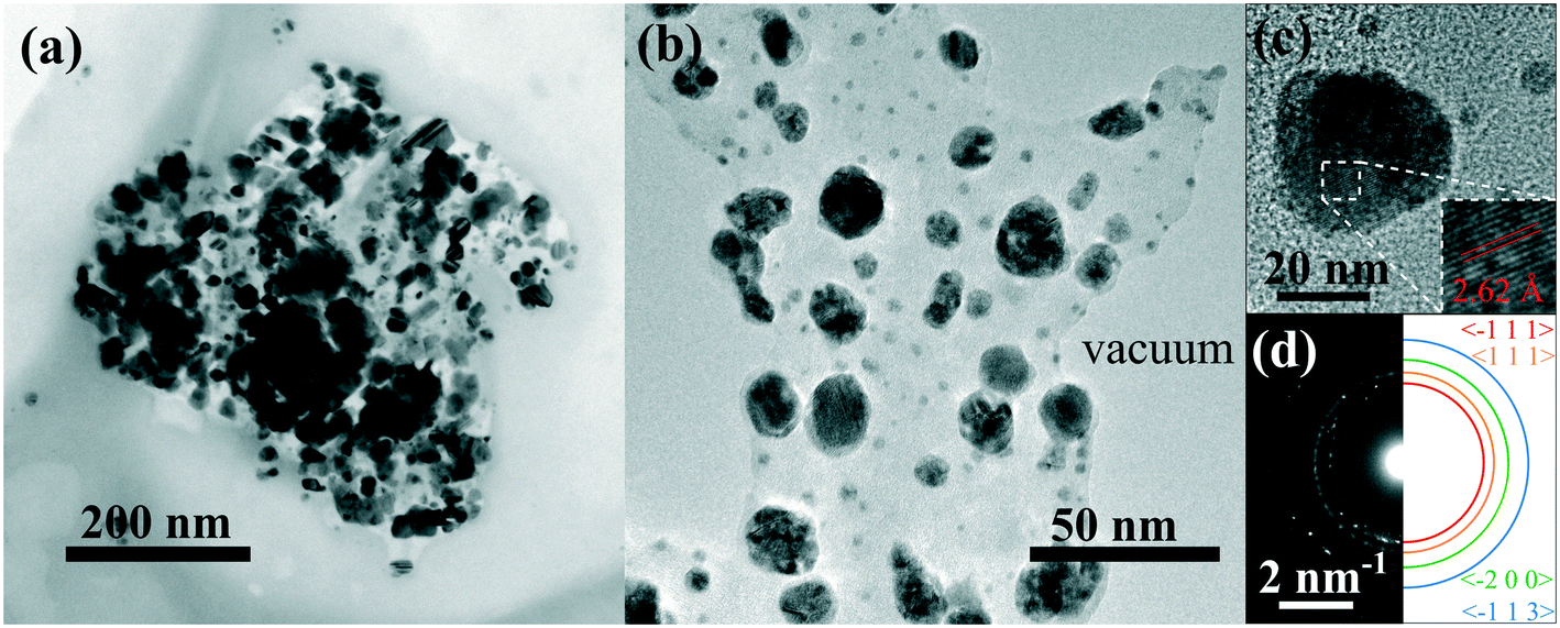 Smart Nanocomposites Of Chitosan Alginate Nanoparticles Loaded With Copper Oxide As Alternative Nanofertilizers Environmental Science Nano Rsc Publishing