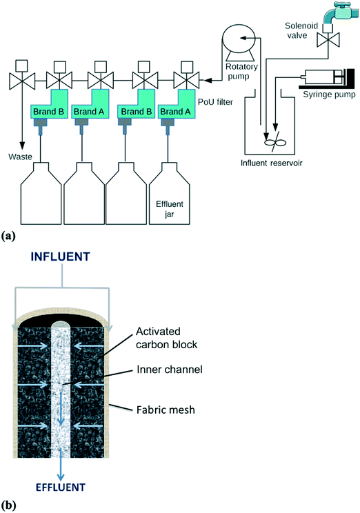 Bacterial Transmission And Colonization In Activated Carbon Block (ACB ...