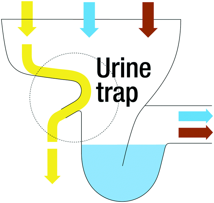 The potential contribution of urine source separation to the SDG agenda
