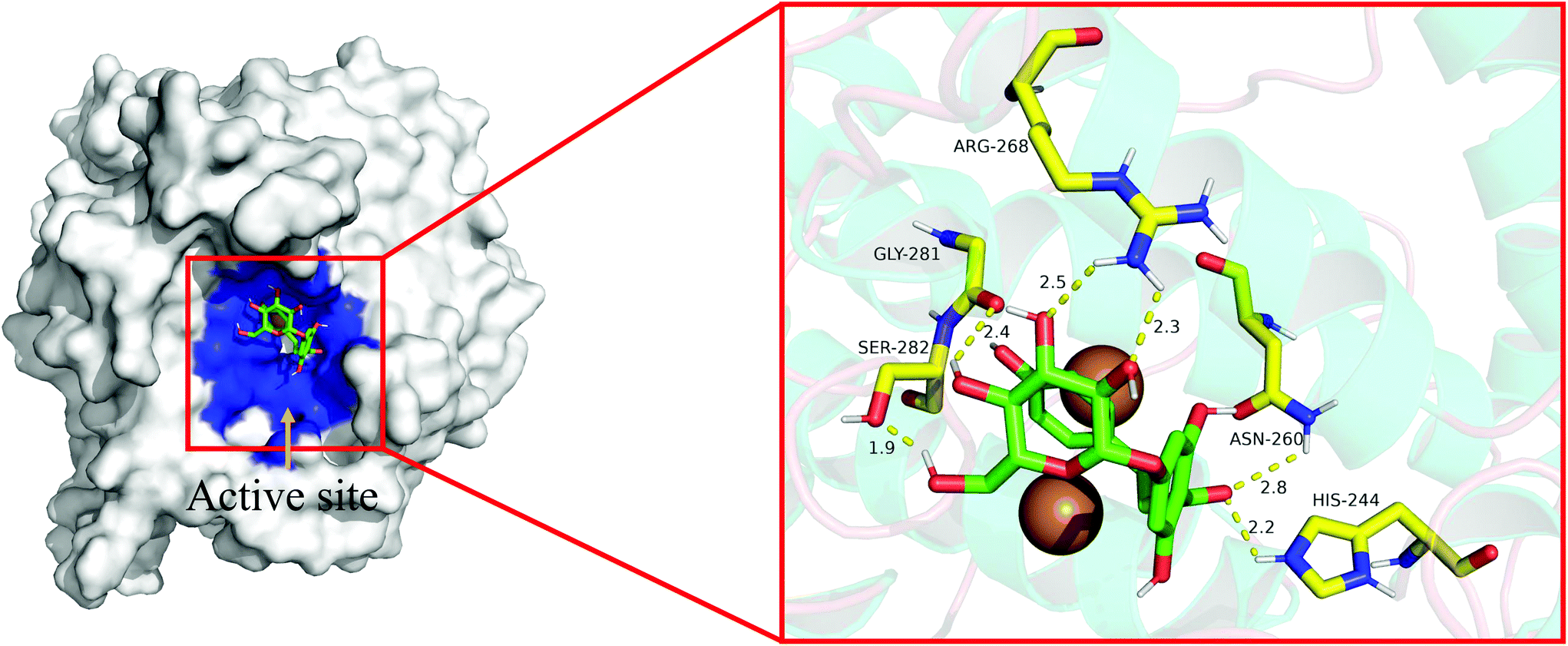 Inhibitory Activity And Mechanism Of Trilobatin On Tyrosinase Kinetics Interaction Mechanism And Molecular Docking Food Function Rsc Publishing