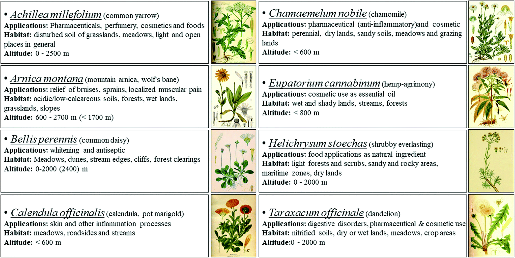 Traditional Plants From Asteraceae Family As Potential Candidates For Functional Food Industry Food Function Rsc Publishing