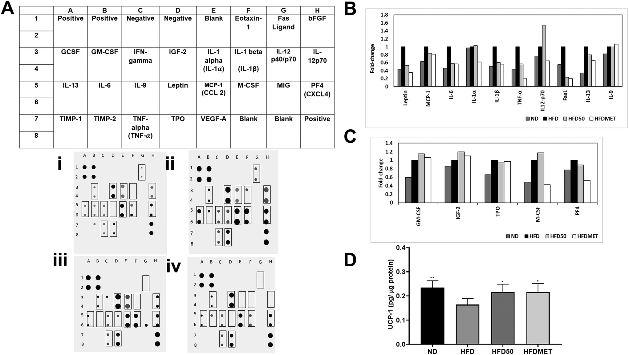 Amelioration Of High Fat Diet Induced Obesity And Its Associated Complications By A Myricetin Derivative Rich Fraction From Syzygium Malaccense In C57bl 6j Mice Food Function Rsc Publishing