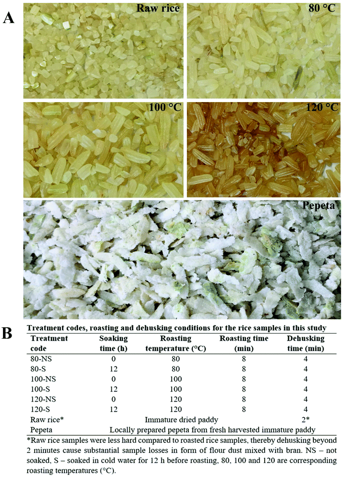 Dry-heat processing at different conditions impact the nutritional ...