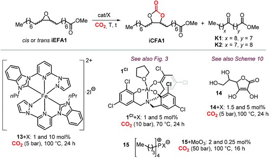 Recent Progress In The Catalytic Transformation Of Carbon Dioxide Into Biosourced Organic Carbonates Green Chemistry Rsc Publishing