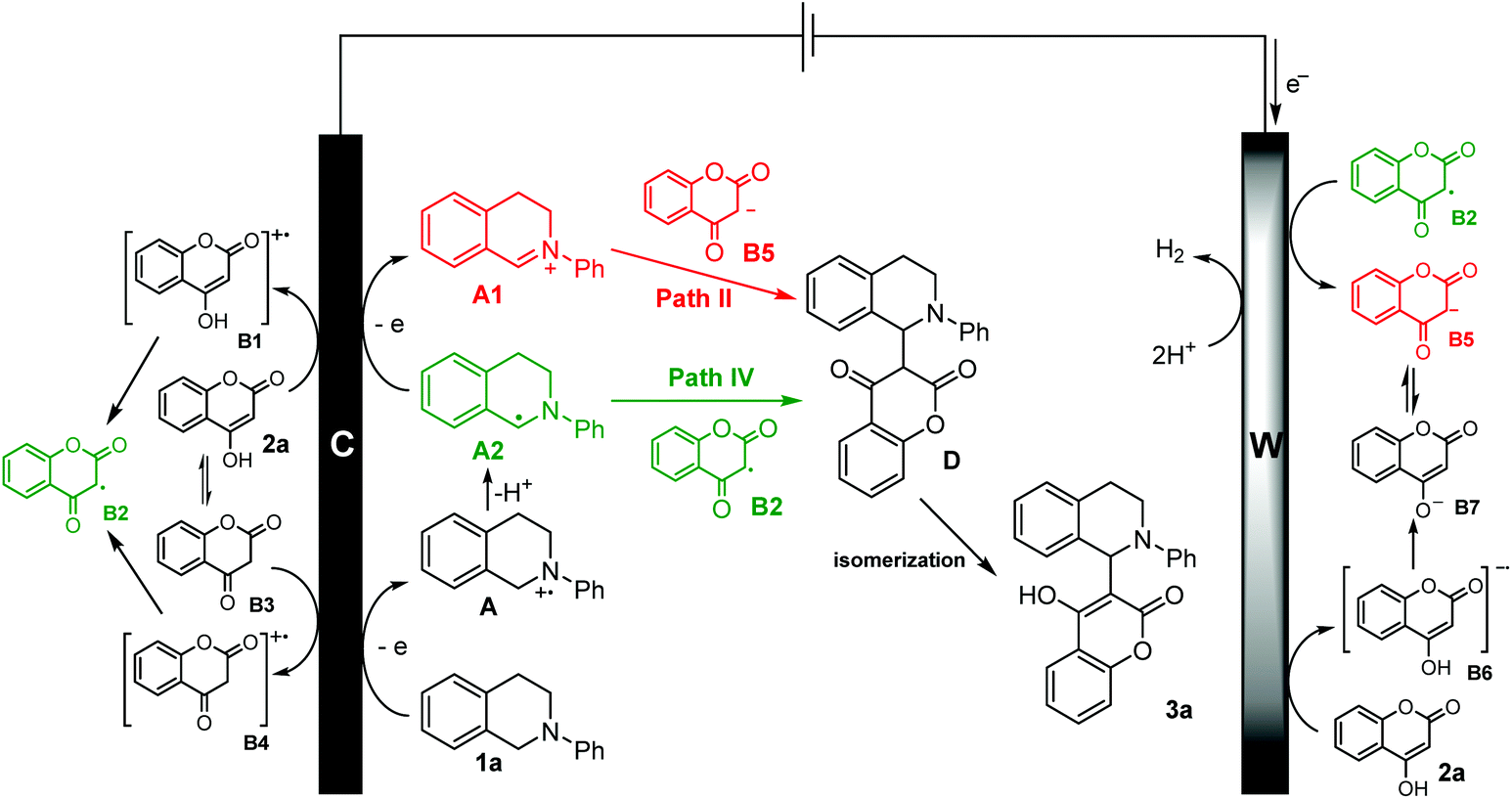 An Oxidant And Catalyst Free Electrooxidative Cross Coupling Approach To 3 Tetrahydroisoquinoline Substituted Coumarins Green Chemistry Rsc Publishing