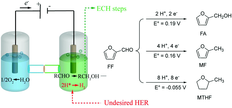 Selective Electrochemical Hydrogenation Of Furfural To 2 Methylfuran Over A Single Atom Cu Catalyst Under Mild Ph Conditions Green Chemistry Rsc Publishing