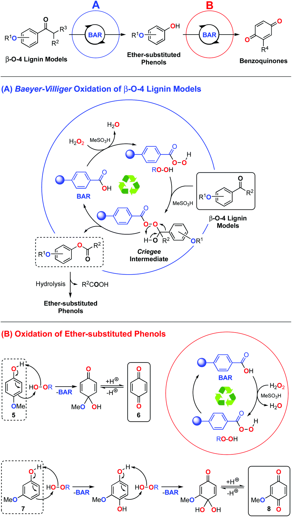 Benzoic Acid Resin Bar A Heterogeneous Redox Organocatalyst For Continuous Flow Synthesis Of Benzoquinones From B O 4 Lignin Models Green Chemistry Rsc Publishing