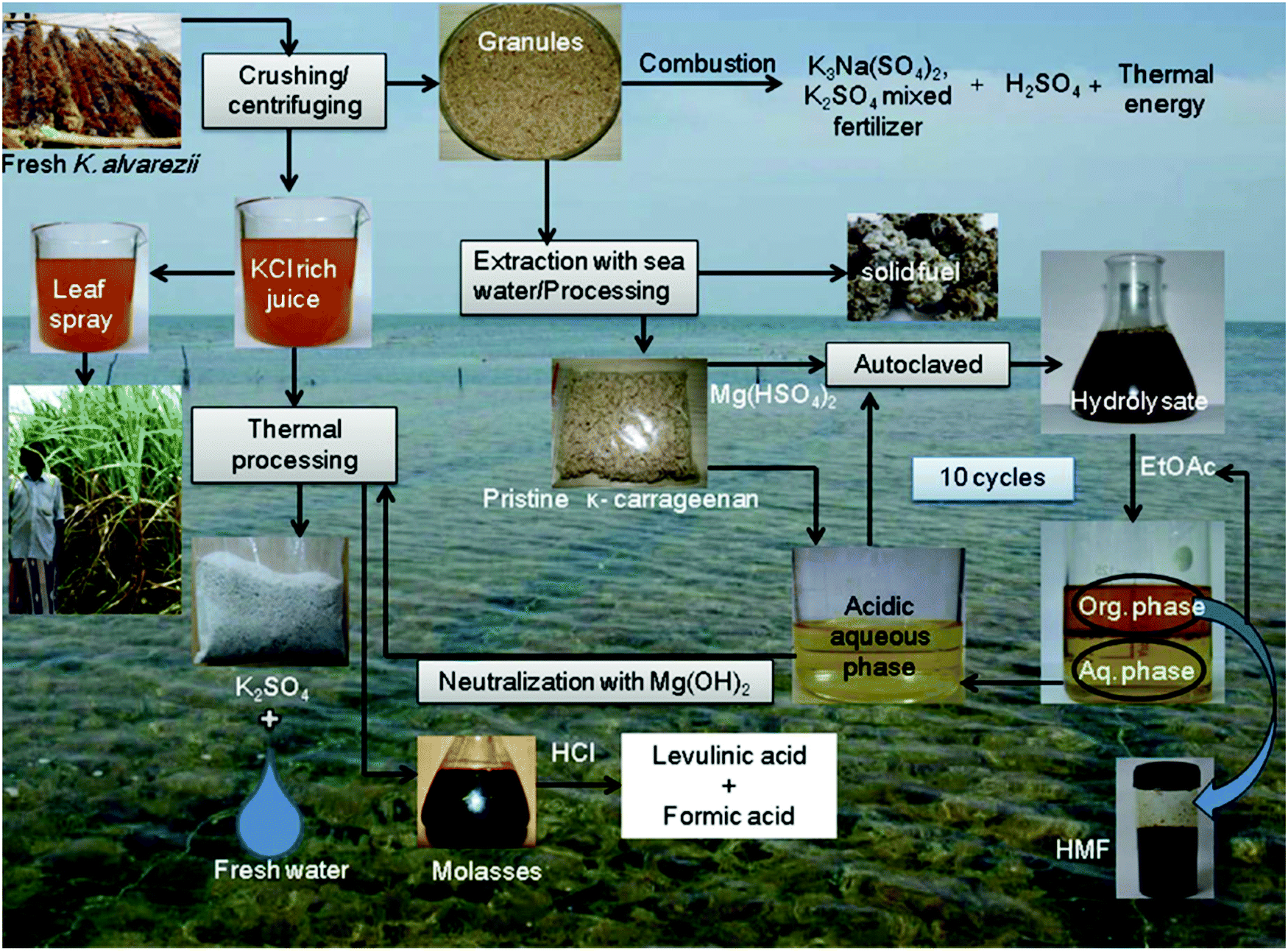 Neoteric Solvent-based Blue Biorefinery: For Chemicals, Functional ...