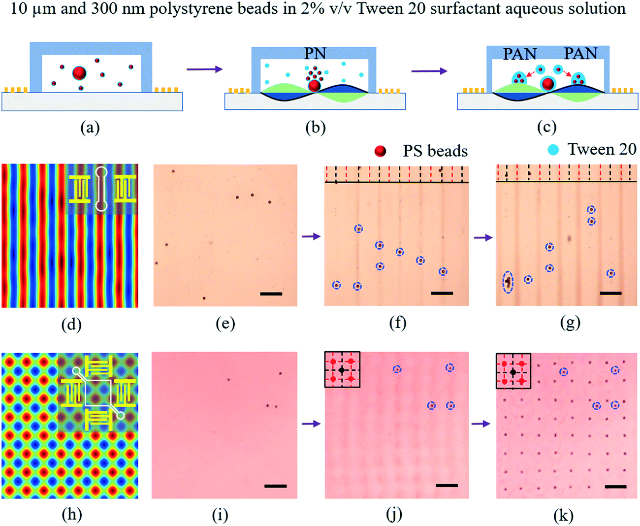 Phase Separation Of A Nonionic Surfactant Aqueous Solution In A Standing Surface Acoustic Wave For Submicron Particle Manipulation Lab On A Chip Rsc Publishing