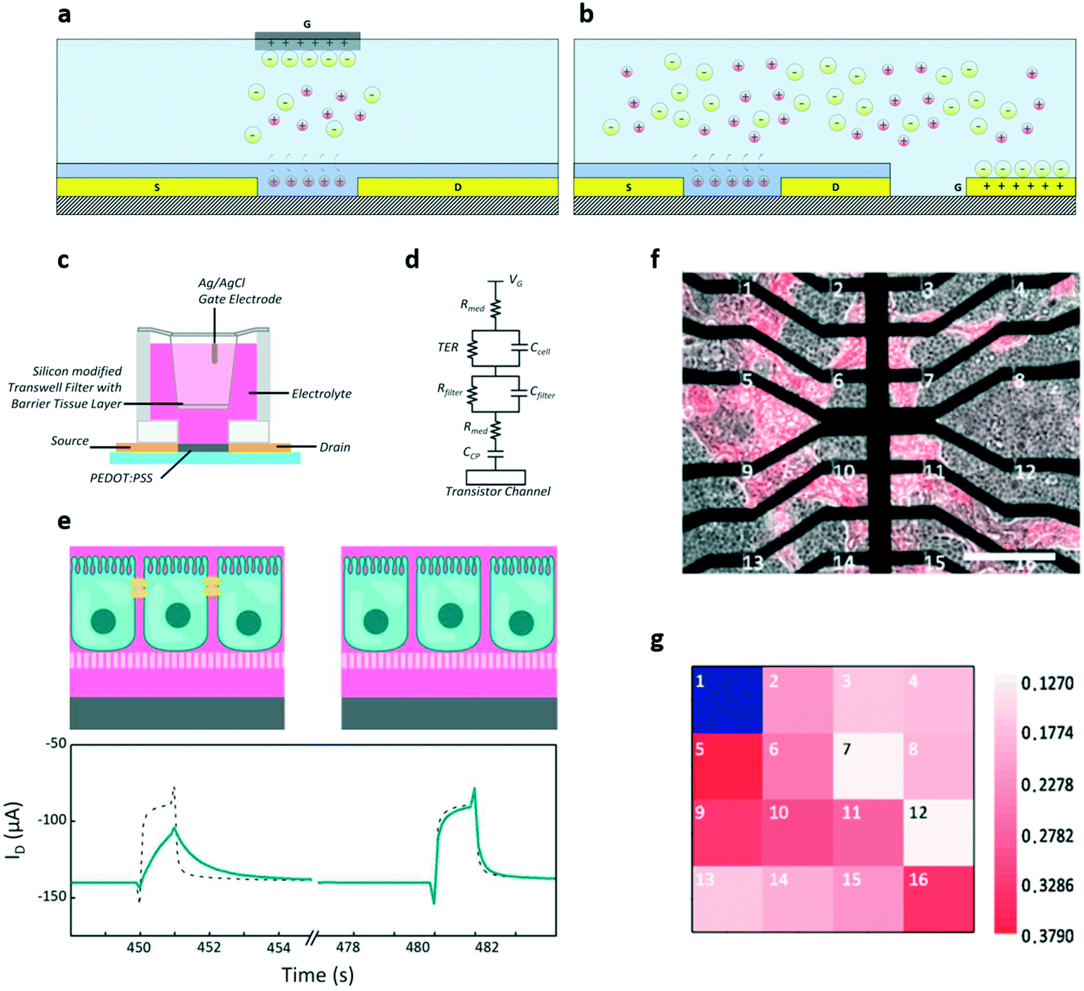 Interfacing Cells With Organic Transistors A Review Of In Vitro And In Vivo Applications Lab On A Chip Rsc Publishing
