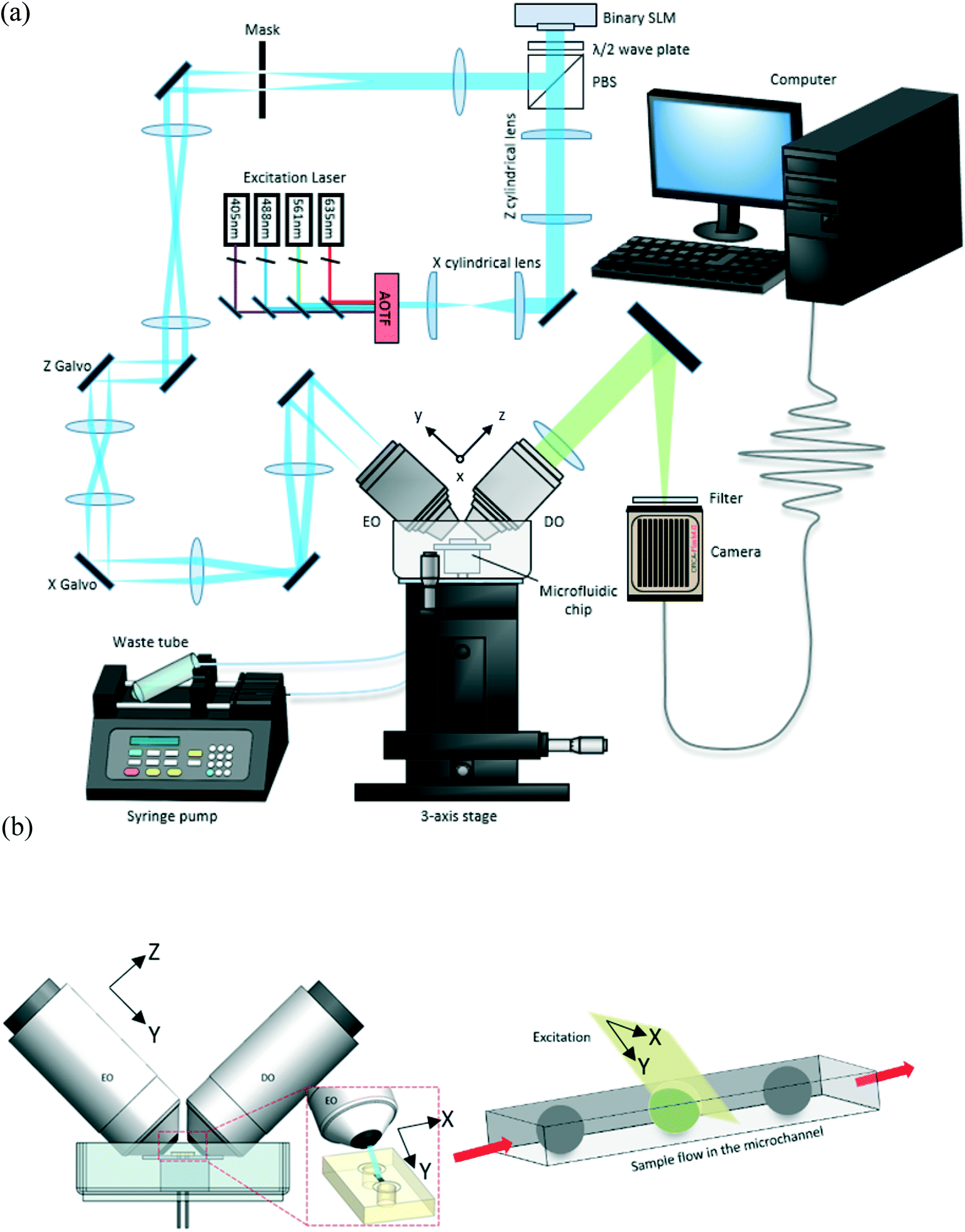 Microfluidic Channel Integrated With A Lattice Lightsheet Microscopic System For Continuous Cell Imaging Lab On A Chip Rsc Publishing