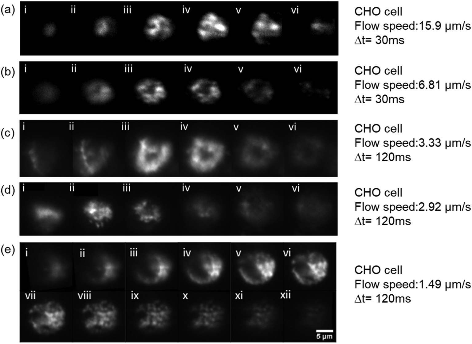 Microfluidic Channel Integrated With A Lattice Lightsheet Microscopic System For Continuous Cell Imaging Lab On A Chip Rsc Publishing