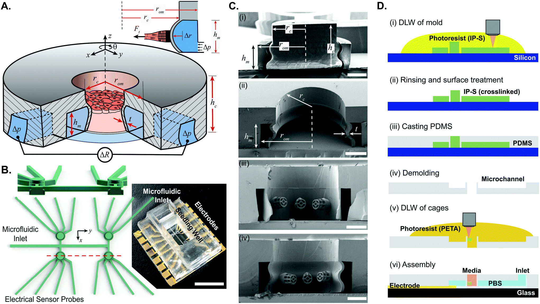 Direct Laser Writing For Cardiac Tissue Engineering A Microfluidic Heart On A Chip With Integrated Transducers Lab On A Chip Rsc Publishing