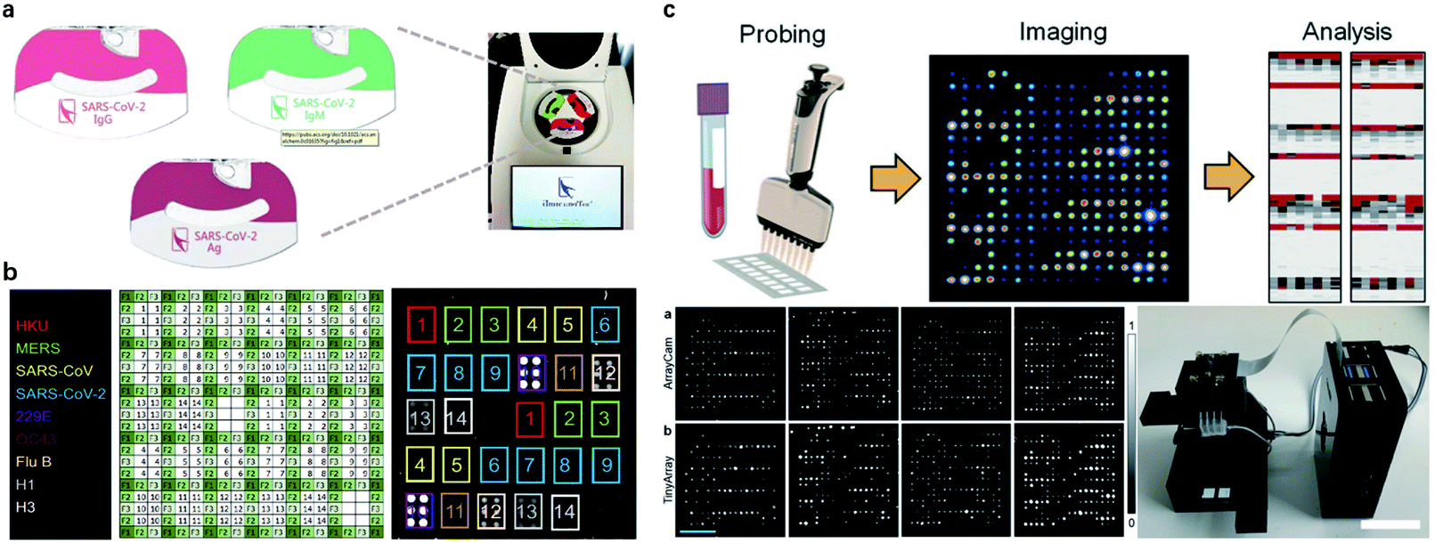 Point Of Care Testing Detection Methods For Covid 19 Lab On A Chip Rsc Publishing