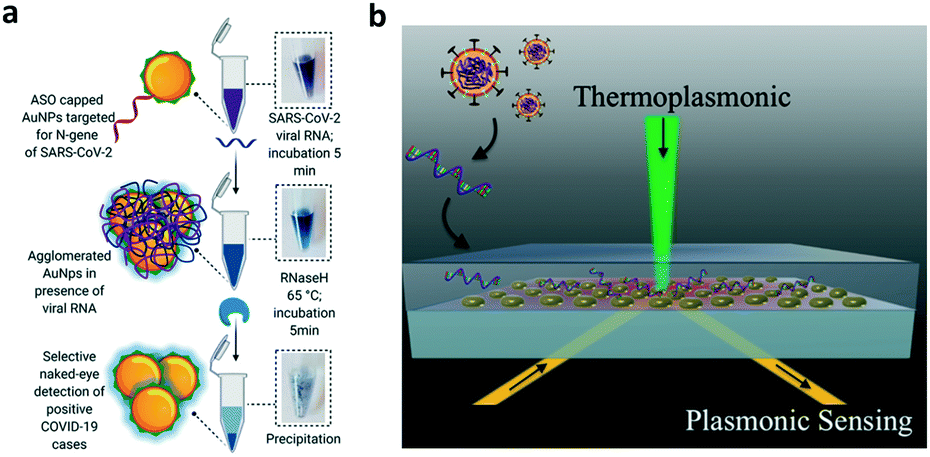 Point Of Care Testing Detection Methods For Covid 19 Lab On A Chip Rsc Publishing