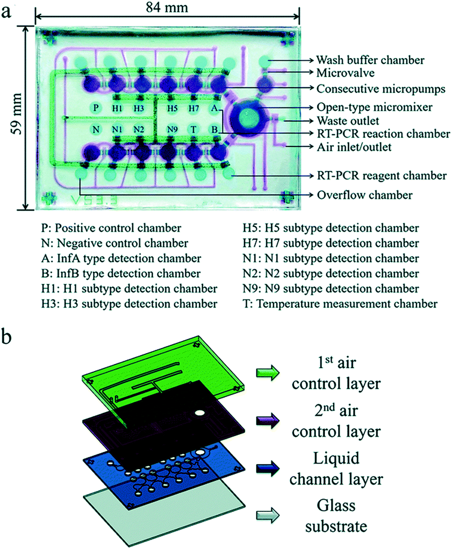 Point Of Care Testing Detection Methods For Covid 19 Lab On A Chip Rsc Publishing