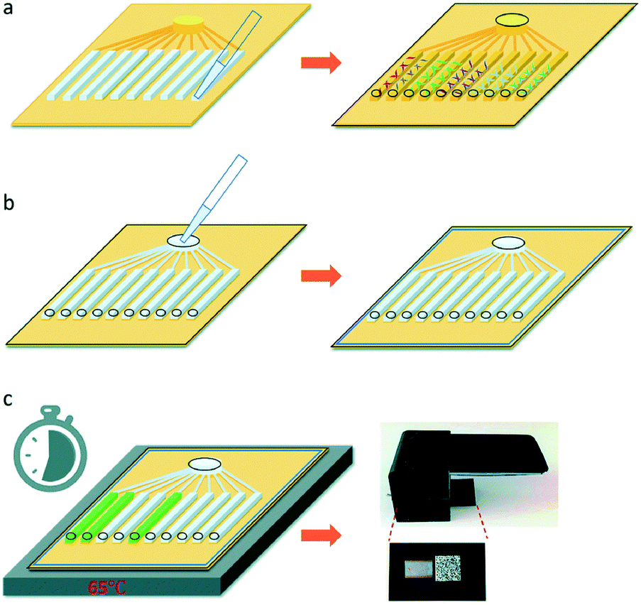 Point Of Care Testing Detection Methods For Covid 19 Lab On A Chip Rsc Publishing