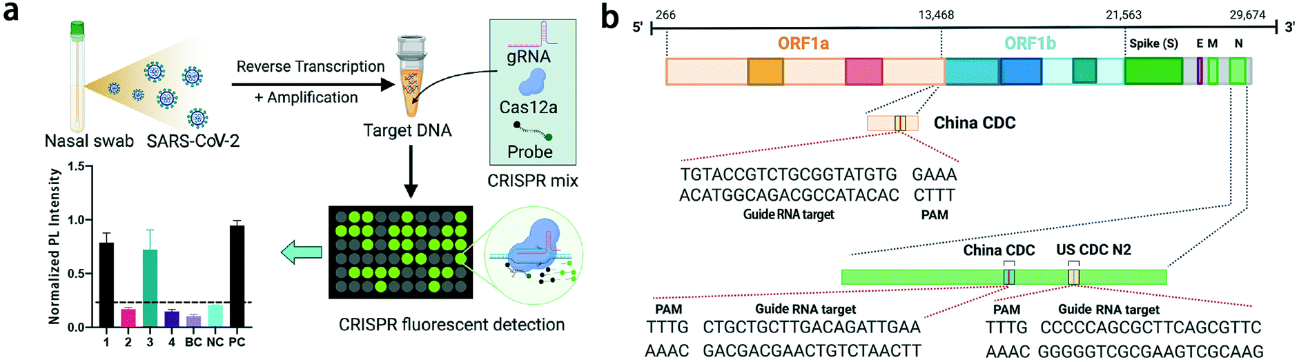 Point Of Care Testing Detection Methods For Covid 19 Lab On A Chip Rsc Publishing