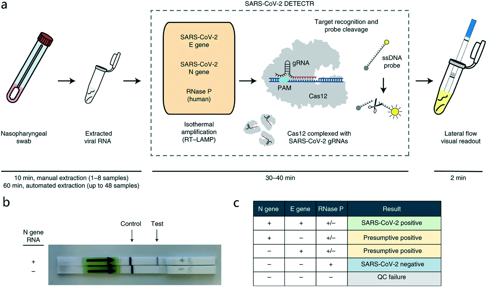 Point Of Care Testing Detection Methods For Covid 19 Lab On A Chip Rsc Publishing