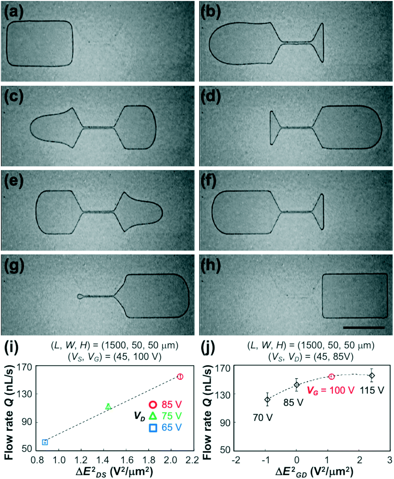 Field Effect Pump Liquid Dielectrophoresis Along A Virtual Microchannel With Source Gate Drain Electric Fields Lab On A Chip Rsc Publishing