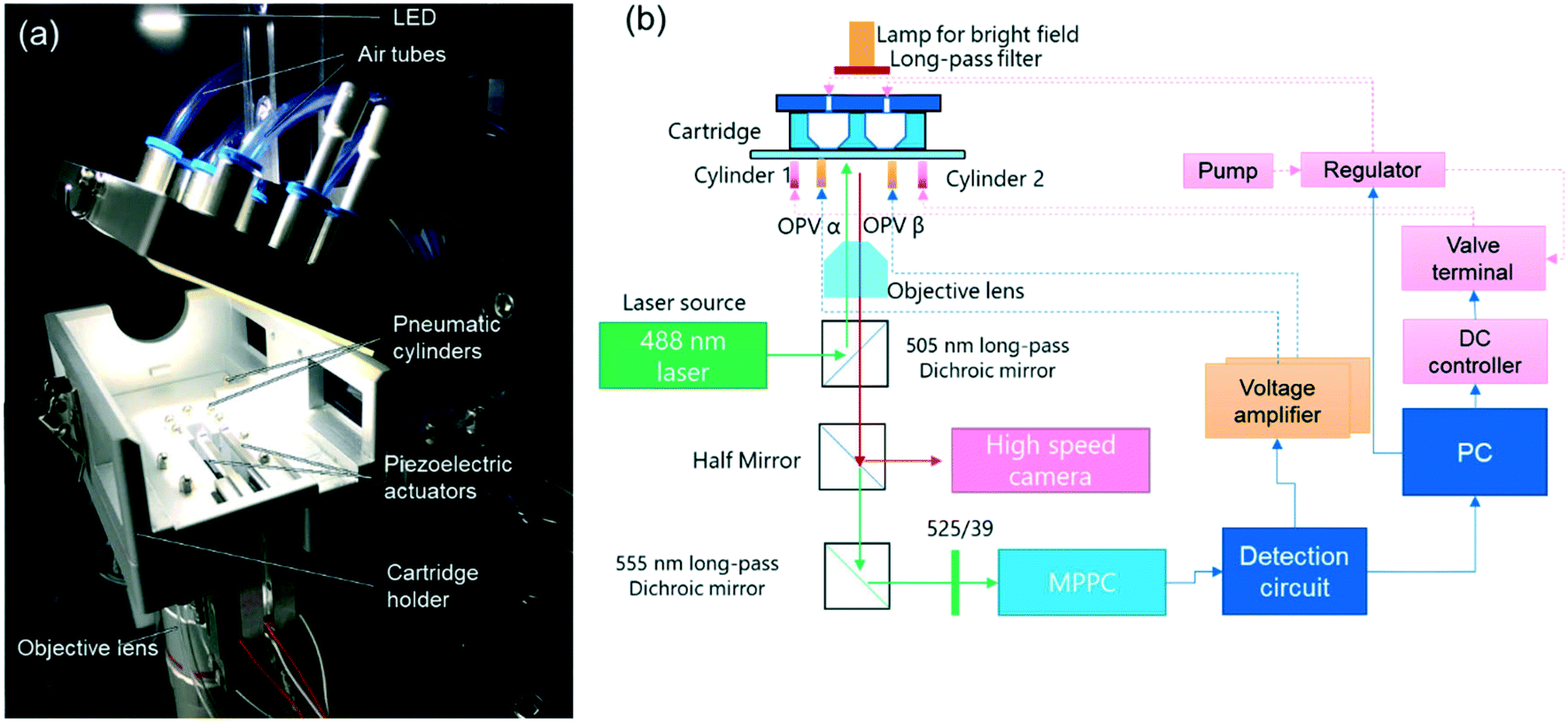 An Integrated High Throughput Microfluidic Circulatory Fluorescence Activated Cell Sorting System M Cfacs For The Enrichment Of Rare Cells Lab On A Chip Rsc Publishing