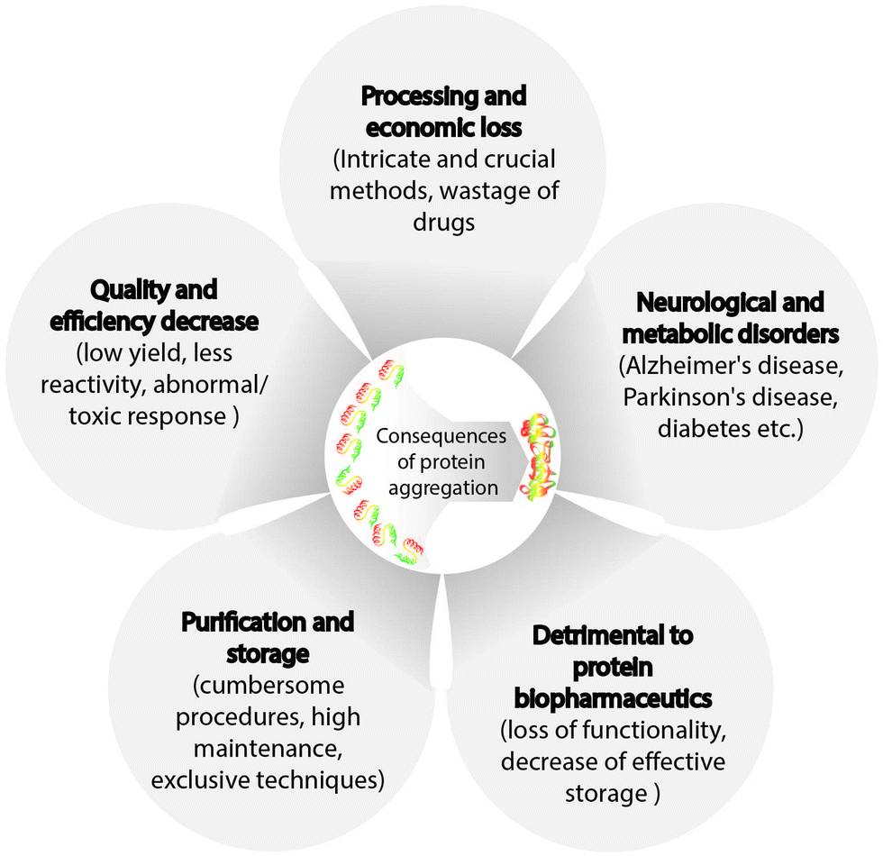 Review of the current state of protein aggregation inhibition from a ...