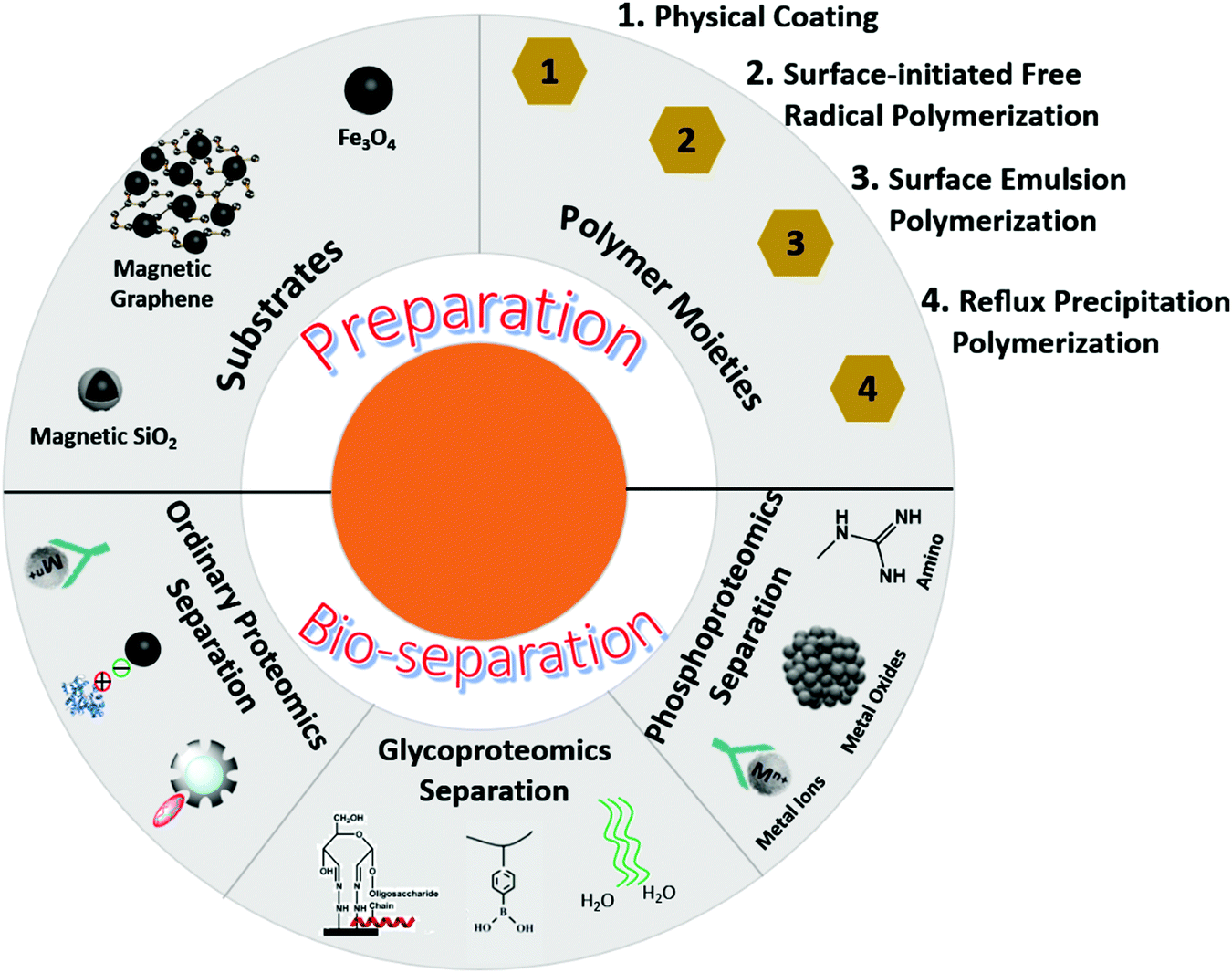Magnetic polymer nanomaterials for sample pretreatment in proteomics ...